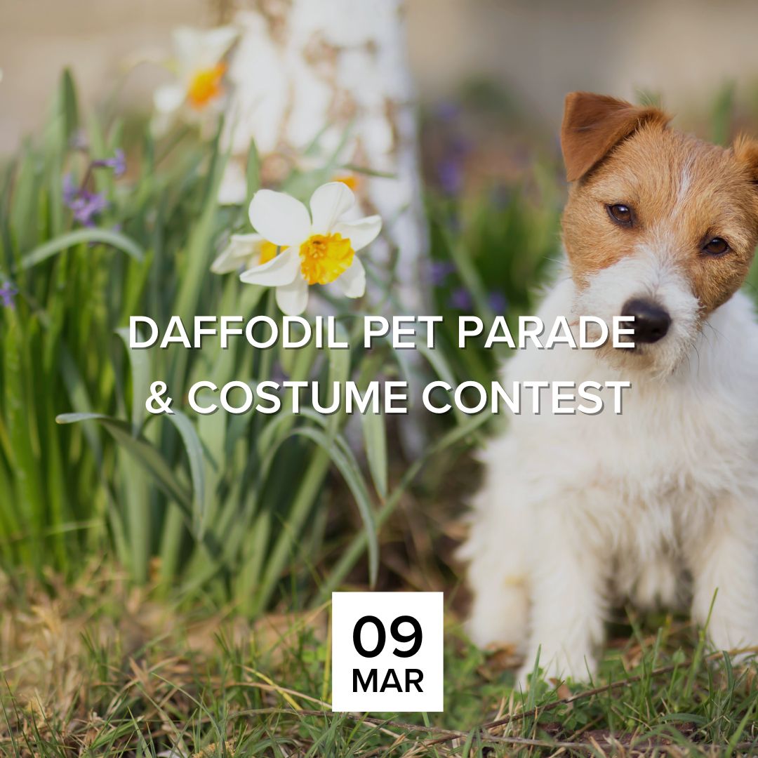 Daffodil Pet Parade & Costume Contest