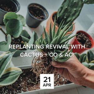 REPLANTING REVIVAL WITH CACTUS + CO & AC!