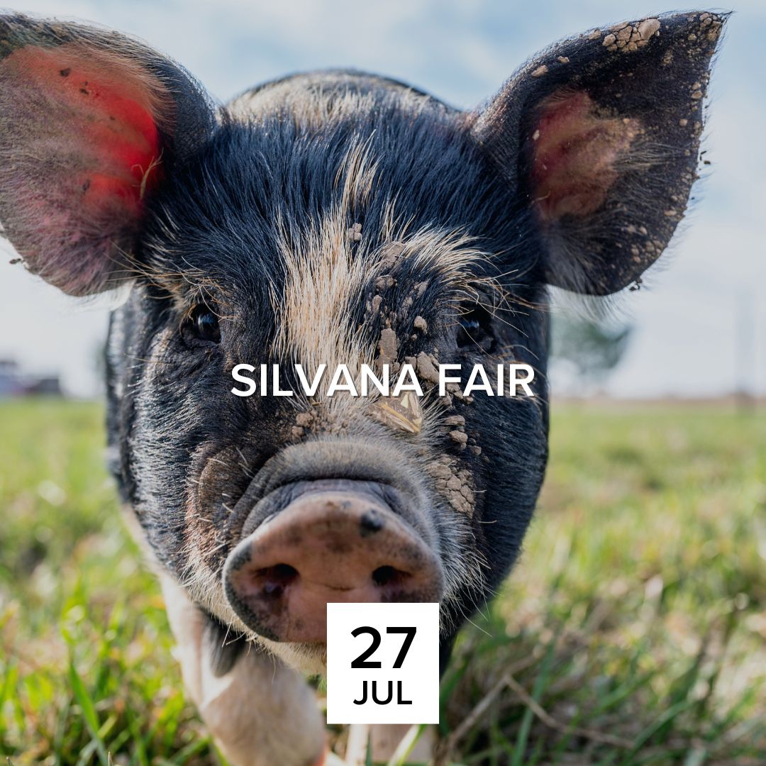 Silvana Fair