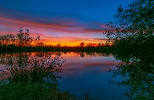 Skagit River Sunsets