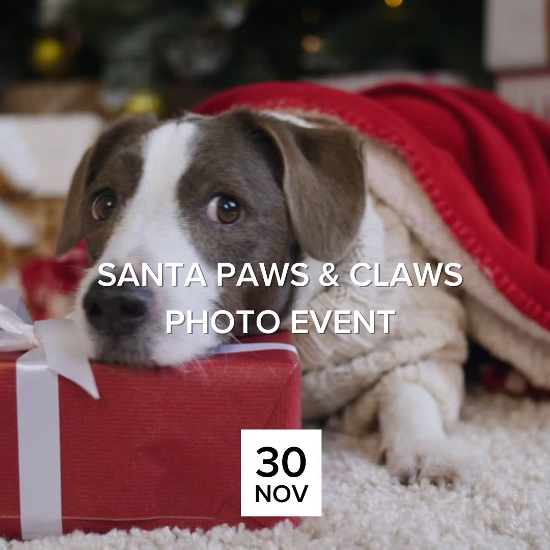 Santa Paws & Claws Photo Event