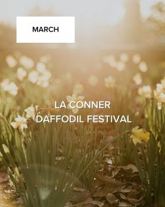 La Conner Daffodil Festival
