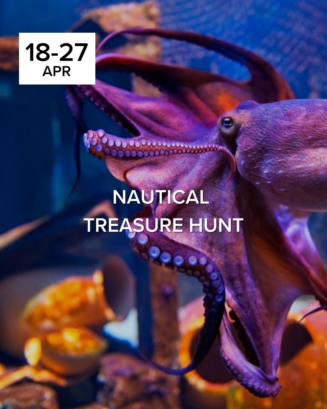 Anacortes Nautical Treasure Hunt