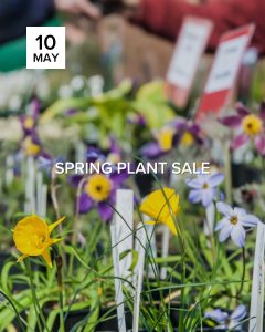 Spring Plant Sale, May 10