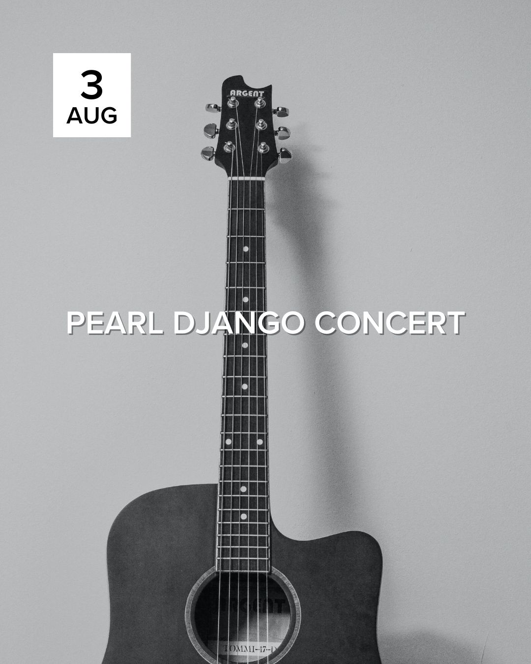 Pearl Django Concert