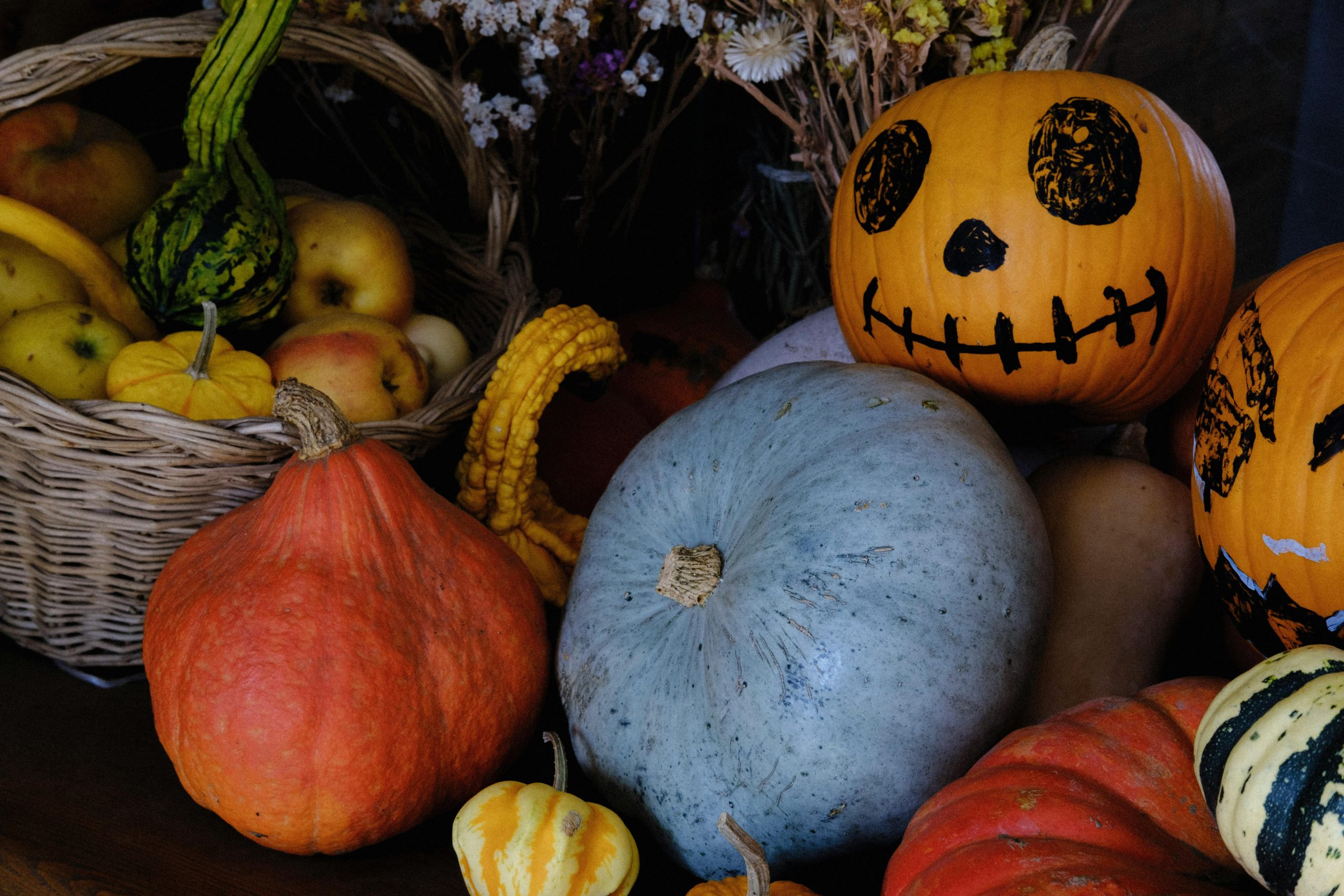 Pumpkin Season & Halloween Fun in Skagit Valley