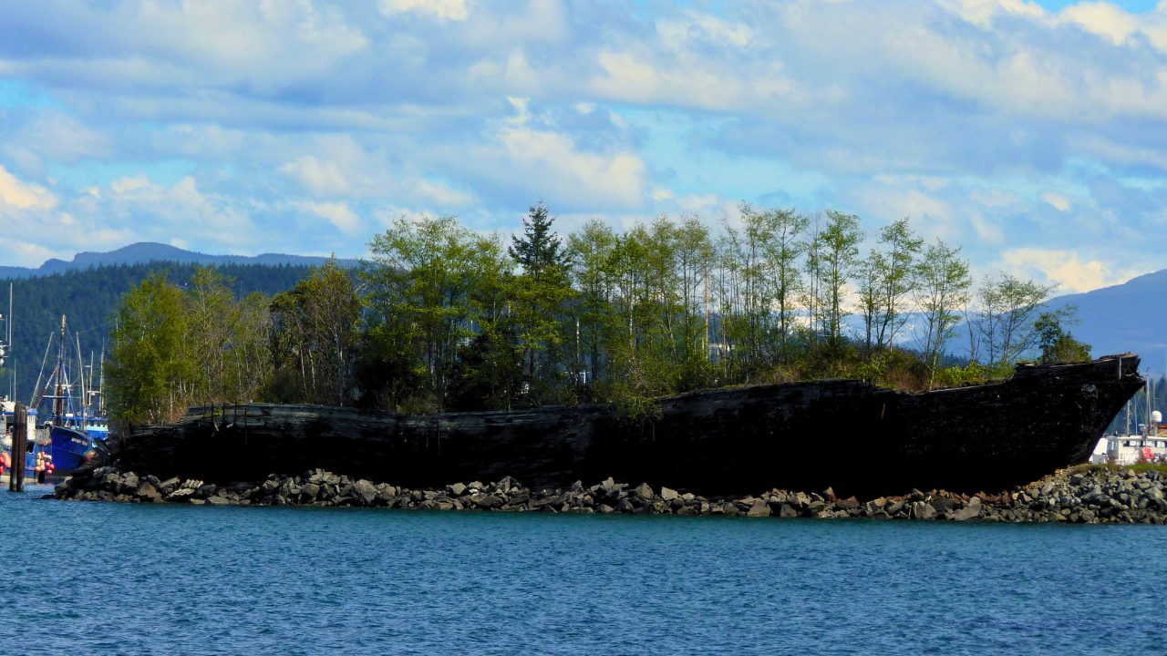 Discover the Anacortes Beached Boat