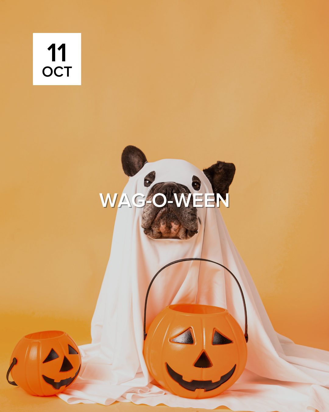 Wag o ween
