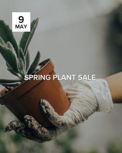 Spring Plant Sale