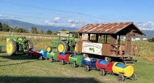 ANDREW'S HAY HARVEST FESTIVAL