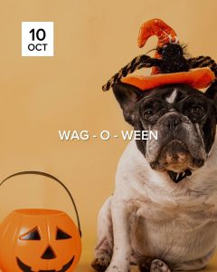 Wag-o-Ween